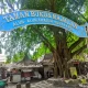Taman Buku Bekas Solo: Ramai Kenangan, Sepi Pengunjung