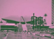 Brave Pink & Hero Green, Warna Solidaritas di Media Sosial