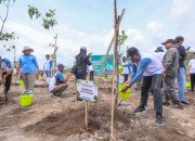 Penanamam 650 Bibit Pohon Tandai Kick Off Pemulihan Ekosistem Taman Nasional Gunung Merapi