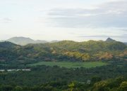 Desember yang Lebih Tenang: Gaya Hidup Reflektif Menjelang Pergantian Tahun