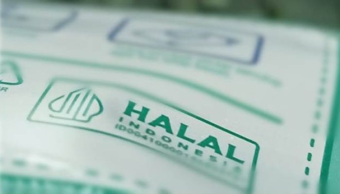 MUI Soroti Pasal Halal dalam Perjanjian Dagang RI–AS, Dinilai Bertentangan dengan UU JPH