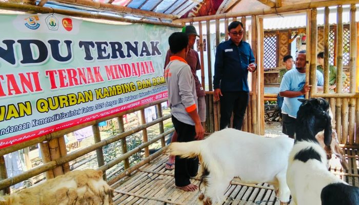 KTT Mindajaya Gelar Posyandu Ternak di Pekuncen, Fokus Tingkatkan Kesehatan Hewan Kurban