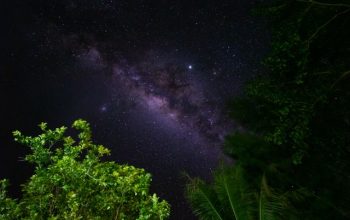 Mengapa Memandang Langit Bisa Membuat Pikiran Lebih Tenang?