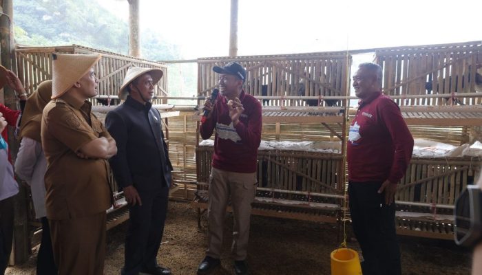Setya Arinugroho Dorong Revola Jateng Diterapkan di 35 Kabupaten/Kota
