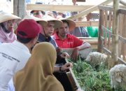 Kejar Kebutuhan Susu Jateng, Wakil DPRD Soroti Pakan hingga Rantai Pasok