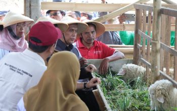Kejar Kebutuhan Susu Jateng, Wakil DPRD Soroti Pakan hingga Rantai Pasok