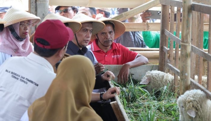 Kejar Kebutuhan Susu Jateng, Wakil DPRD Soroti Pakan hingga Rantai Pasok
