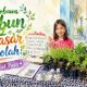 Membawa Kebun ke Selasar Sekolah: Kisah Puan Belajar dari Tanaman