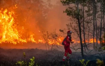Kepungan Kabut Asap Karhutla Meluas, Sembilan Korporasi Resmi Jadi Tersangka