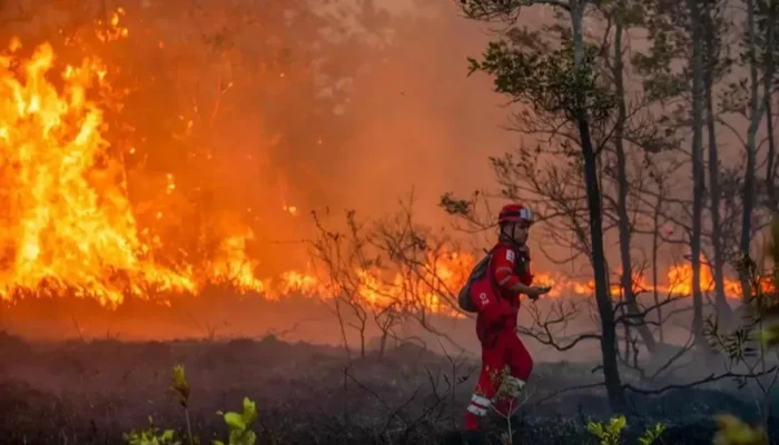 Kepungan Kabut Asap Karhutla Meluas, Sembilan Korporasi Resmi Jadi Tersangka