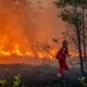 Kepungan Kabut Asap Karhutla Meluas, Sembilan Korporasi Resmi Jadi Tersangka
